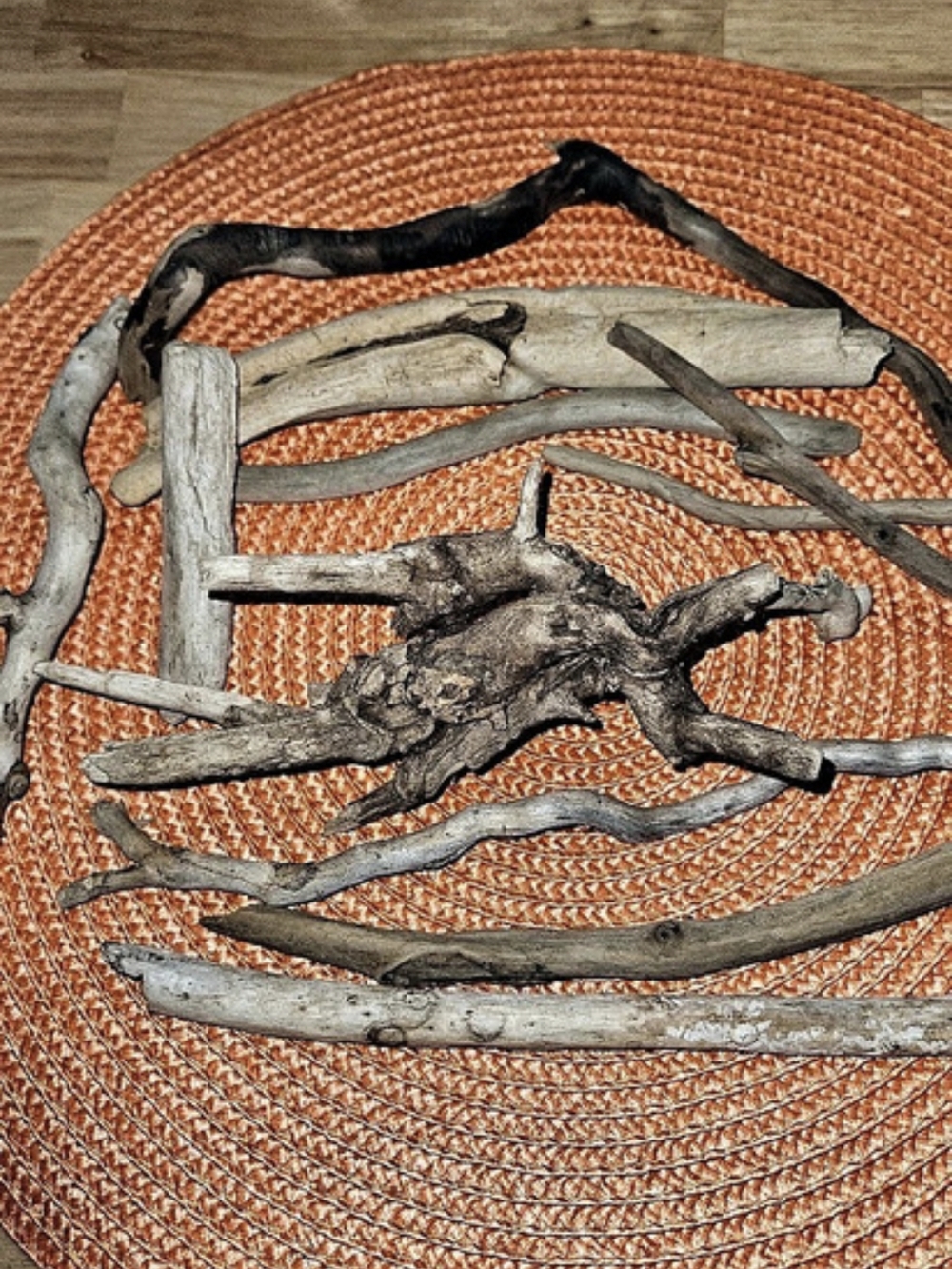 Driftwood #14